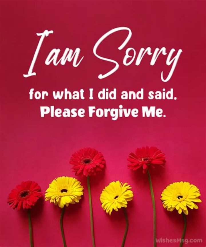 'I Am Very Sorry For The Mistakes I Made.' – Hollywood Life