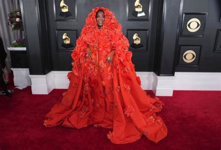 2019 Latin Grammys Red Carpet — See Pics – Hollywood Life