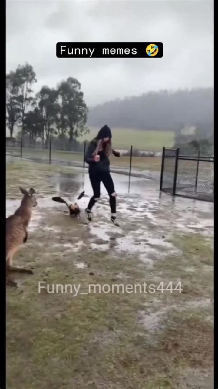 A funny moment