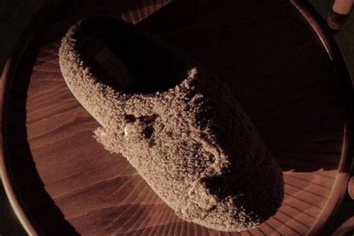 A fuzzy slipper.