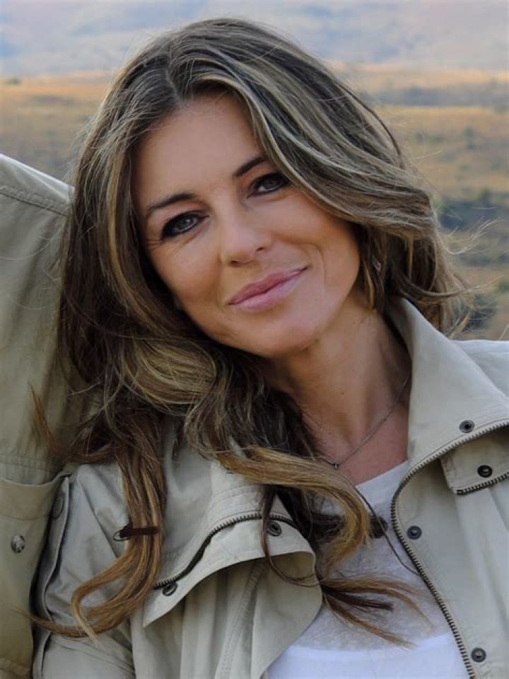 Actress Elizabeth Hurley Actress Elizabeth Hurley