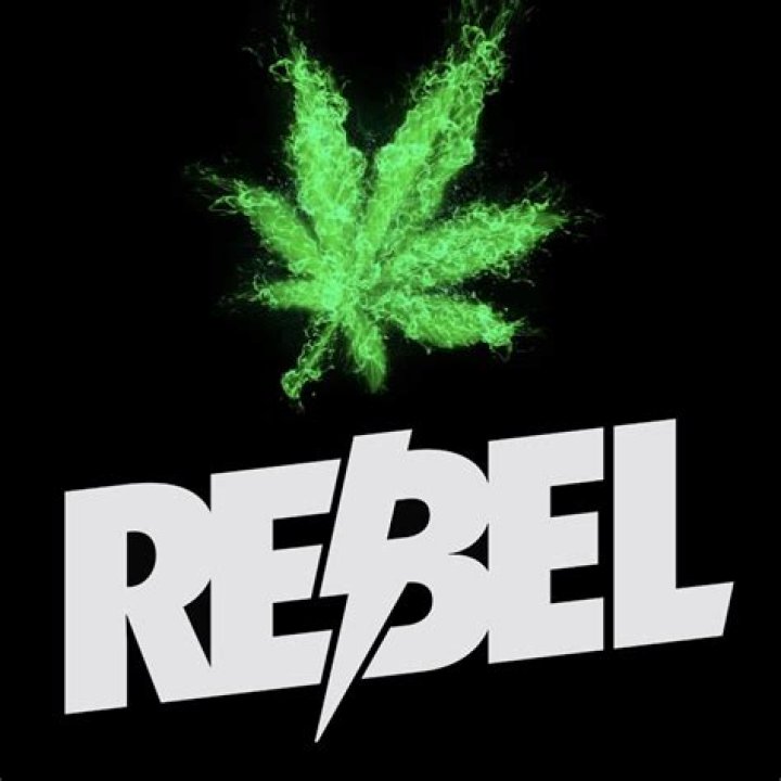 adam rebel