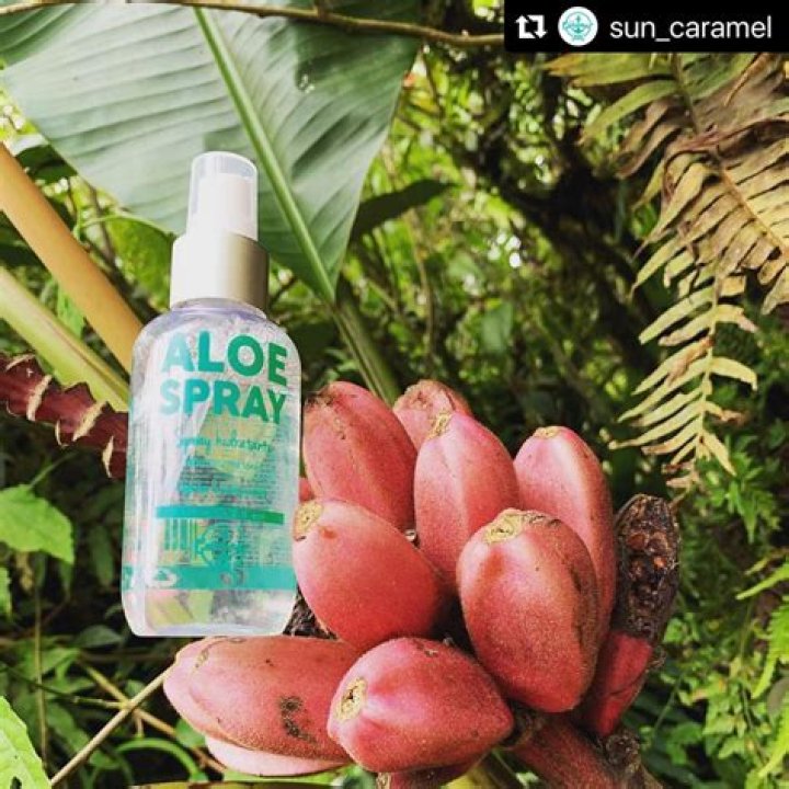 aloe-spray