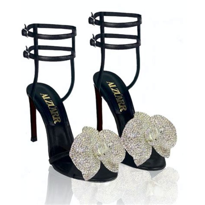 Alzuarr Paris Shoes