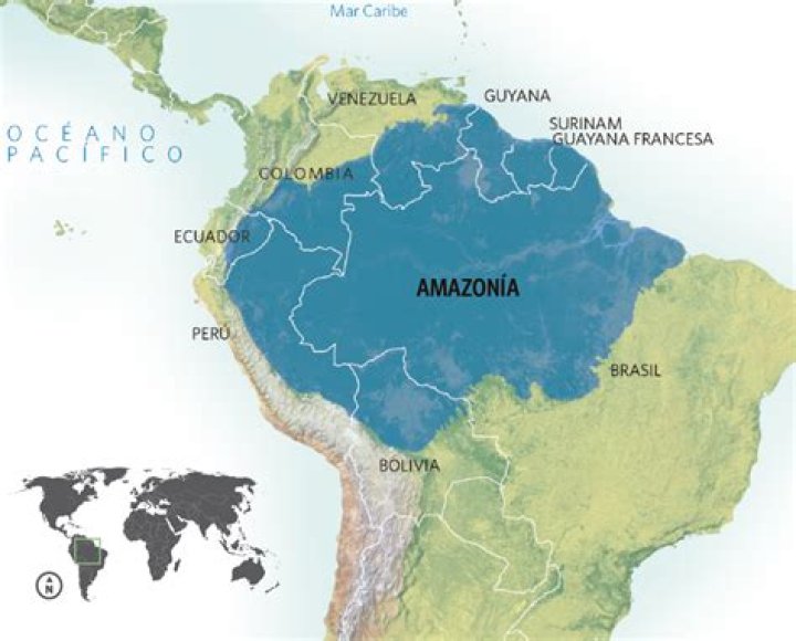 Amazonica