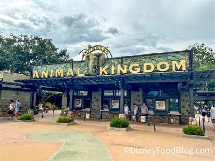 Animal Kingdom 401 1/18/19 ph: Eddy Chen 480412