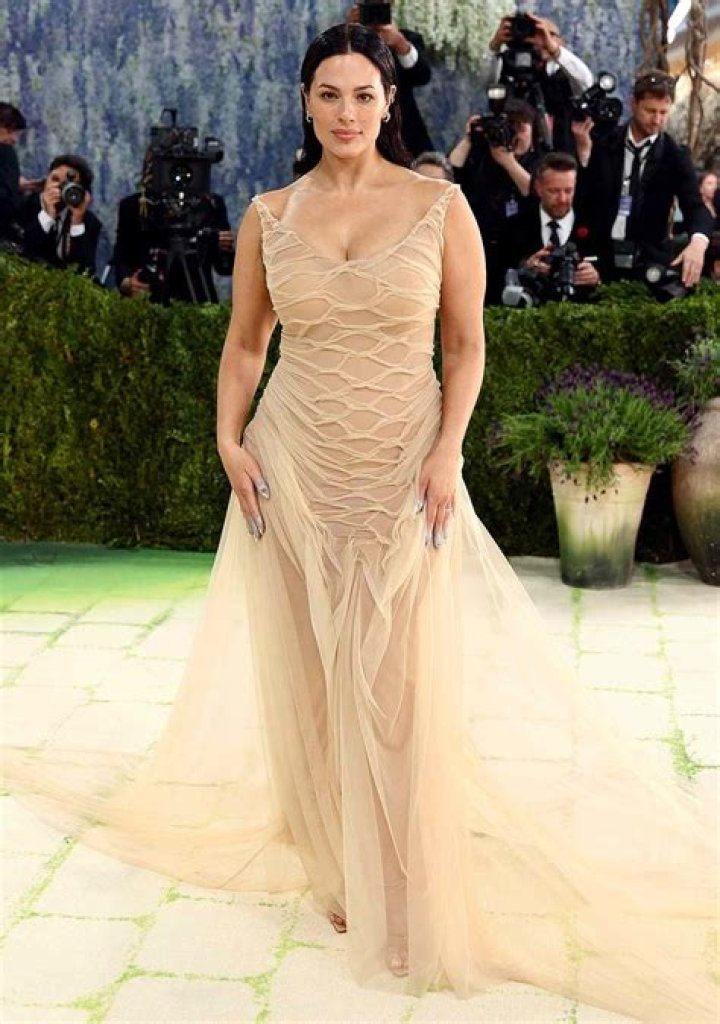 Ashley Graham sheer dress