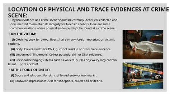 Authorities collect evidence