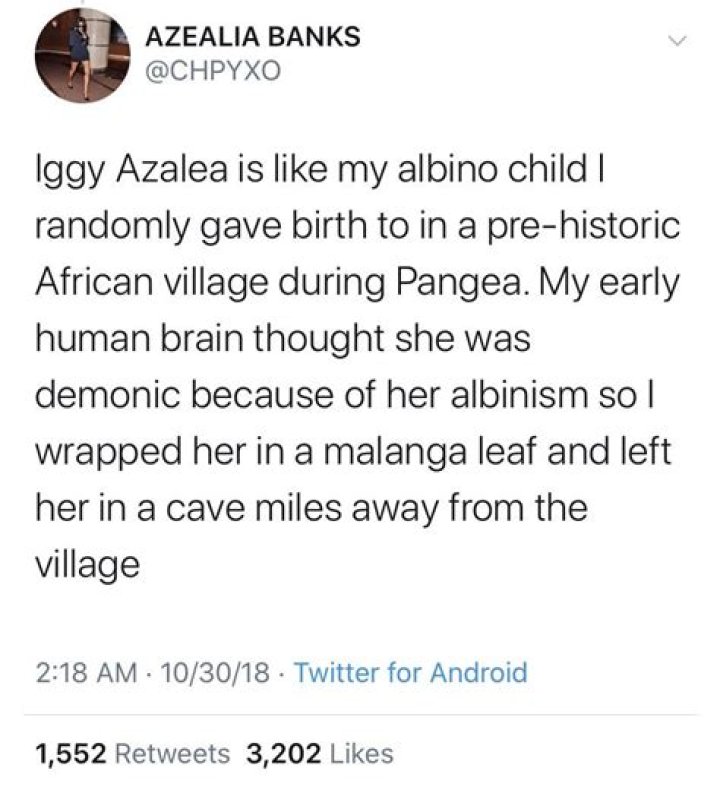 Azealia Banks Iggy Azalea Twitter Fight