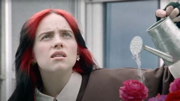 Billie Eilish Takes A Commercial Flight & Ditches Private Jet: Video