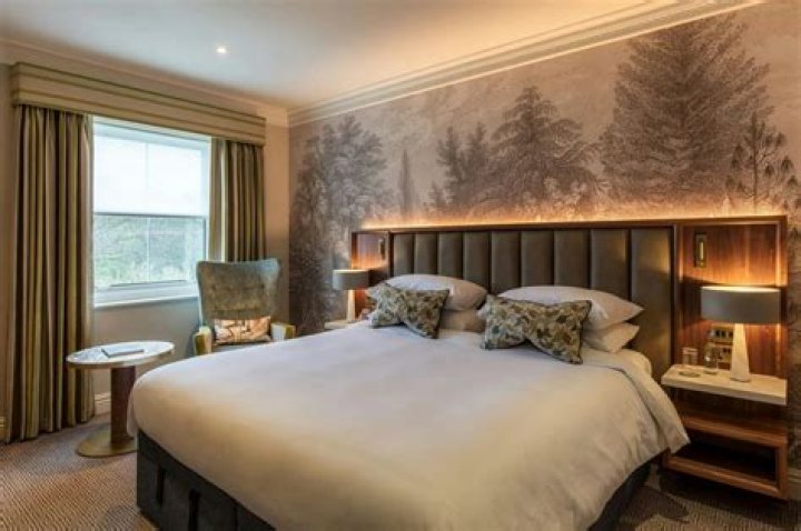 Book a plush VIP suite