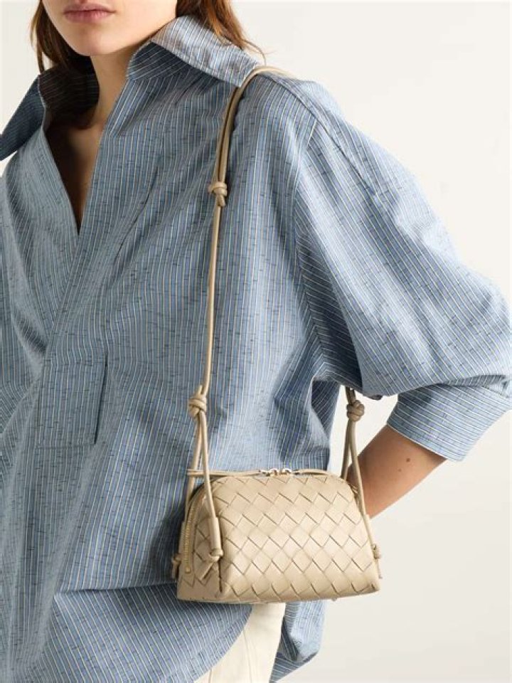 Bottega Veneta The Pouch Alternative – Shop – Hollywood Life