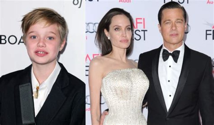Brad Pitt, Angelina Jolie, Shiloh Jolie-Pitt, Maddox Jolie-Pitt, Pax Jolie-Pitt, Knox Leon Jolie-Pitt, Zahara Jolie-Pitt, Vivienne Jolie-Pitt Brad Pitt and Angelina Jolie at LAX Airport, Los Angeles, America - 05 Jul 2015 Brad Pitt and Family arriving at the Los Angeles International Airport