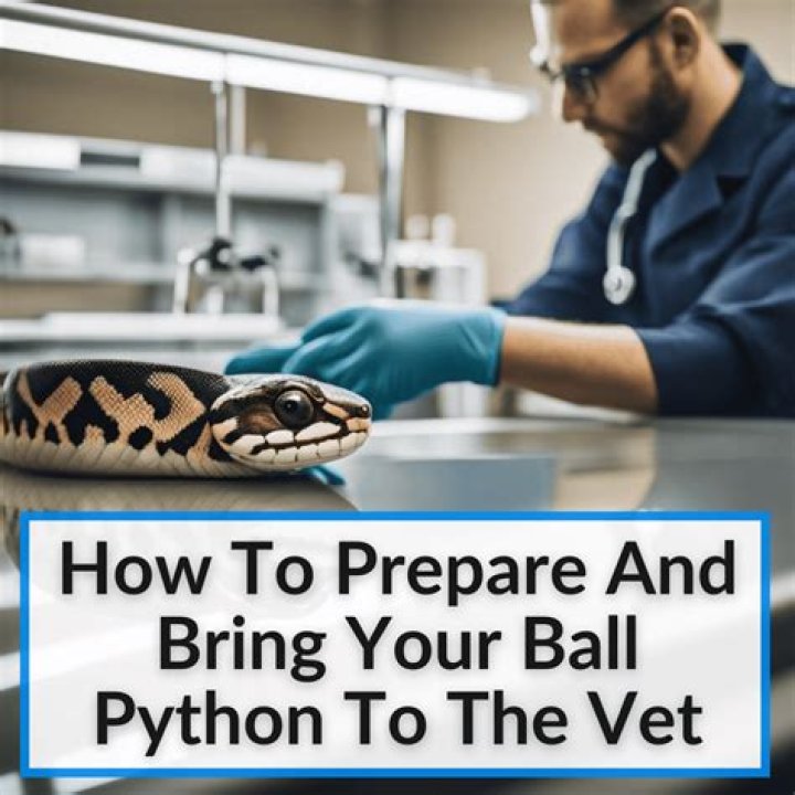 Bring your ball