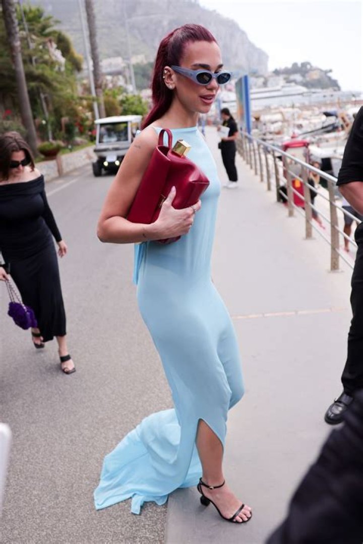 Celebrities In See-Through Dresses