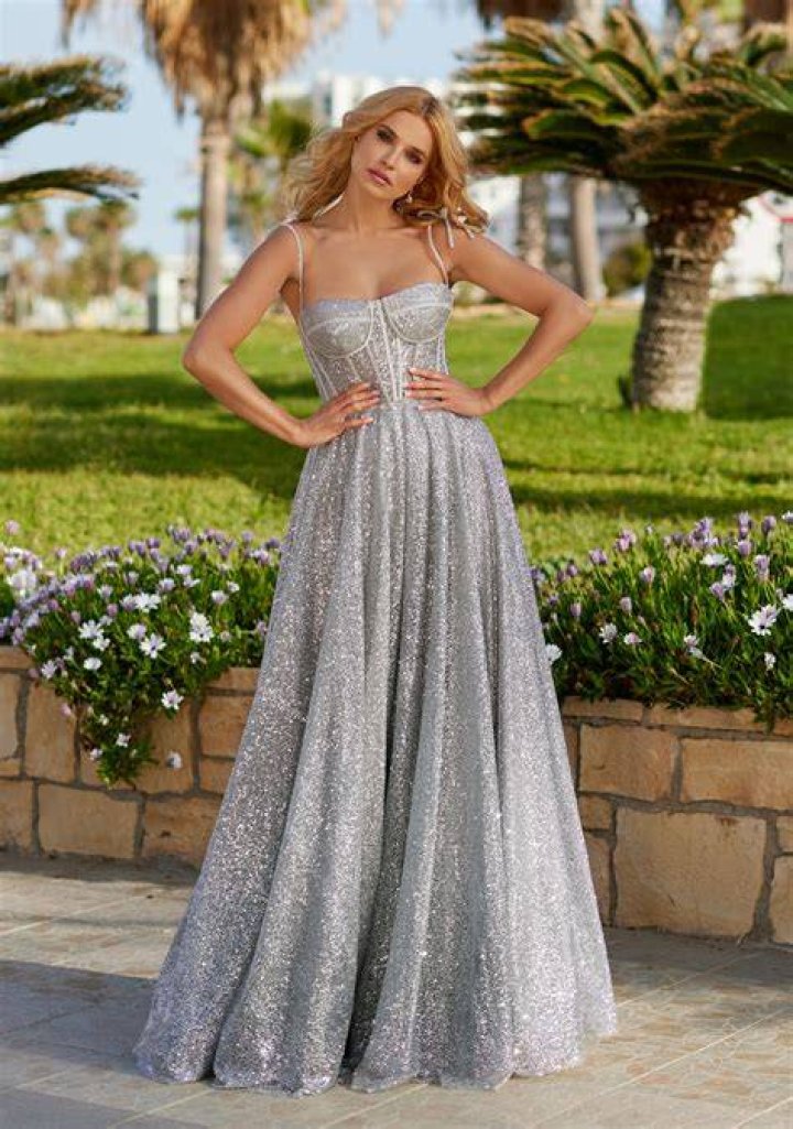 Celebrities Sparkly Silver Dresses