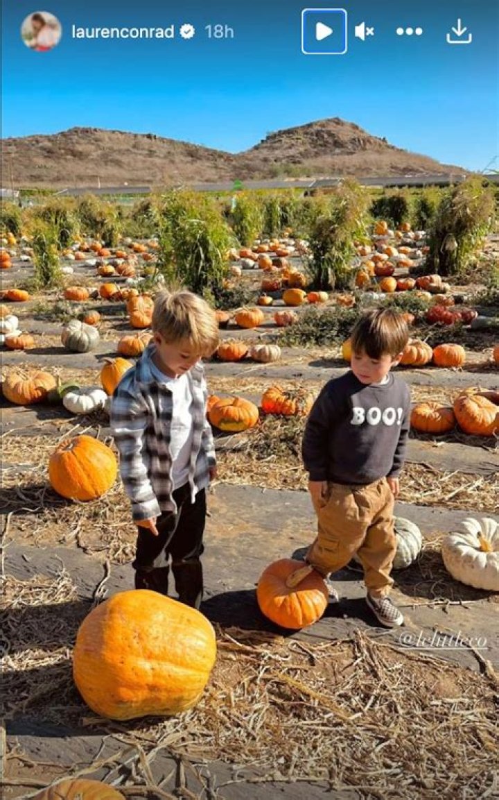 celebs at pumpkin patch with kids