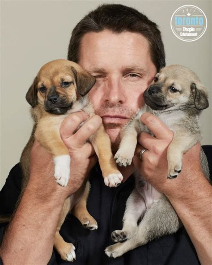 Celebs Playing With Puppies: PICS