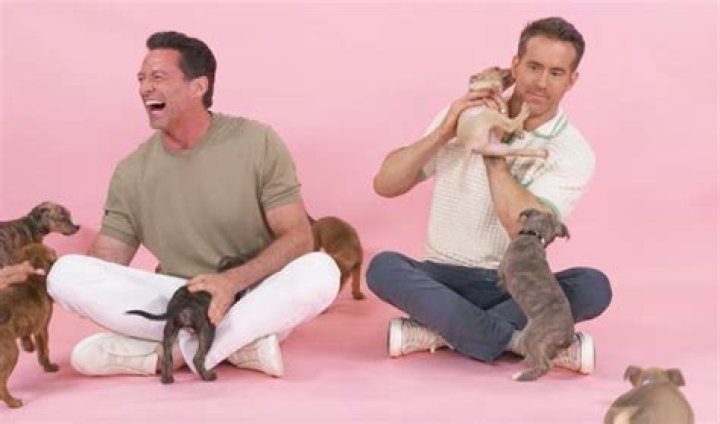 Celebs Playing With Puppies