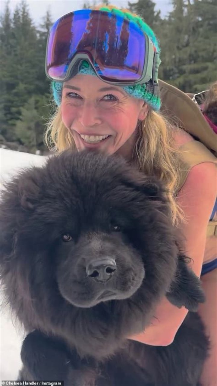 Chelsea Handler Skiing In A Strapless Bikini For 48 Birthday: Video – Hollywood Life