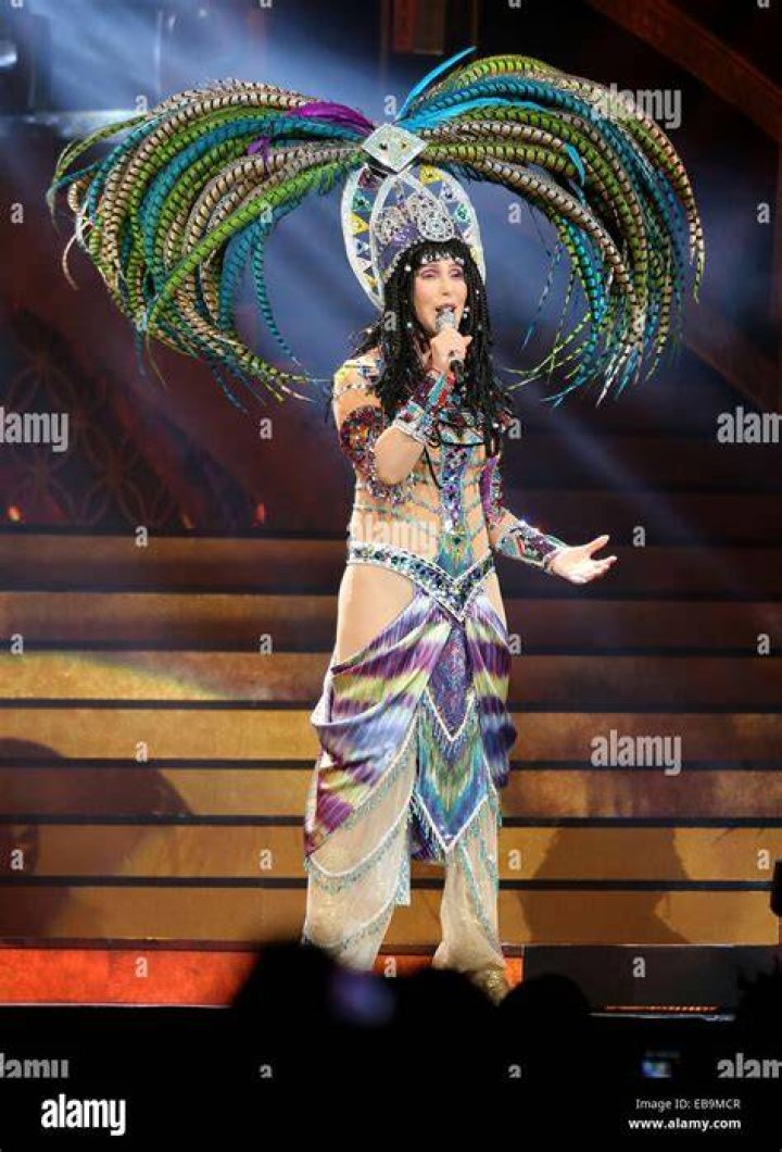 Cher In 2014