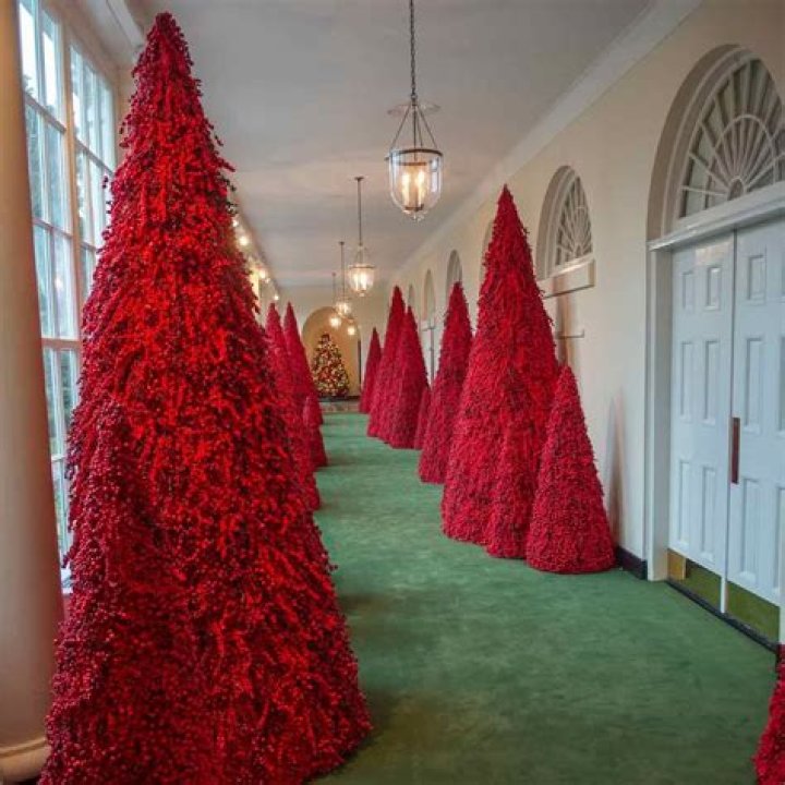 Christmas Trees In The White House