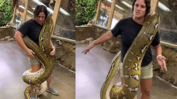 Ciara Wraps A Huge Golden Python Around Her Neck While Rocking Green Sleeveless Top – Watch