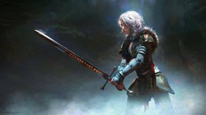 Ciri On The Run