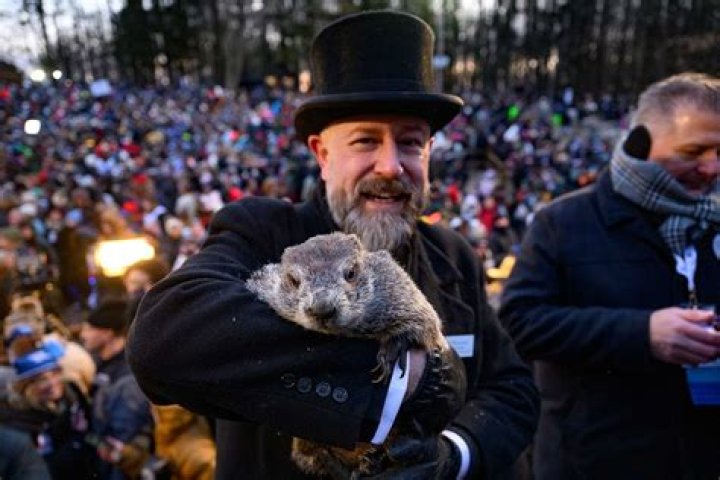 CNN’s Jim Acosta Calls Trump A ‘Grievance Groundhog — He Wakes Up Every Day Still A Loser’