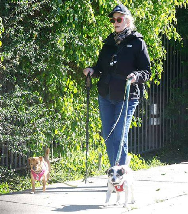 Cybill Shepherd Walks Her Dogs In Los Angeles