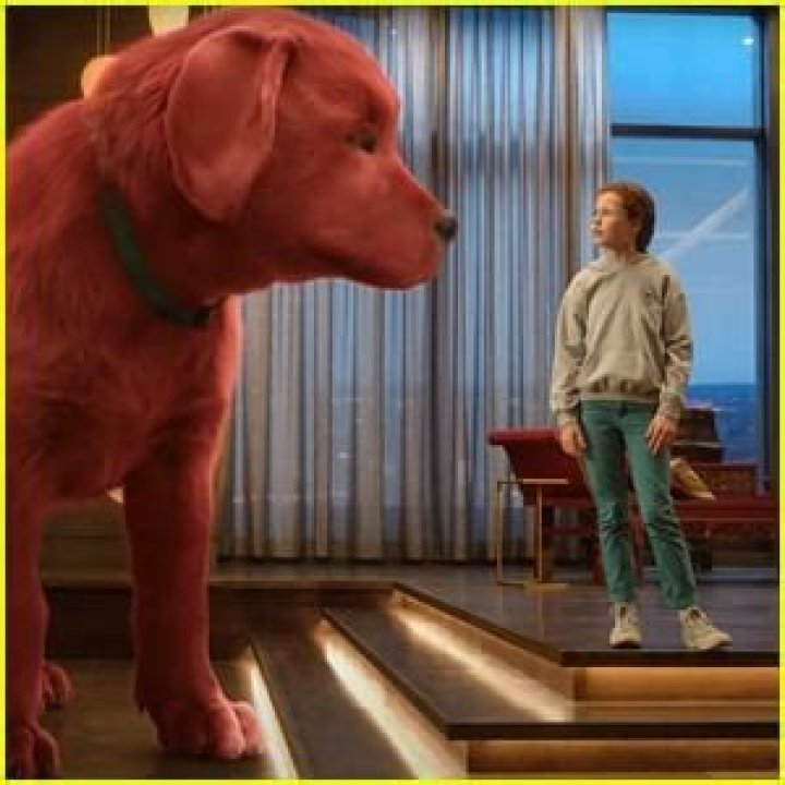 Darby Camp stars in CLIFFORD THE BIG RED DOG from Paramount Pictures. Photo Credit: Courtesy Paramount Pictures.