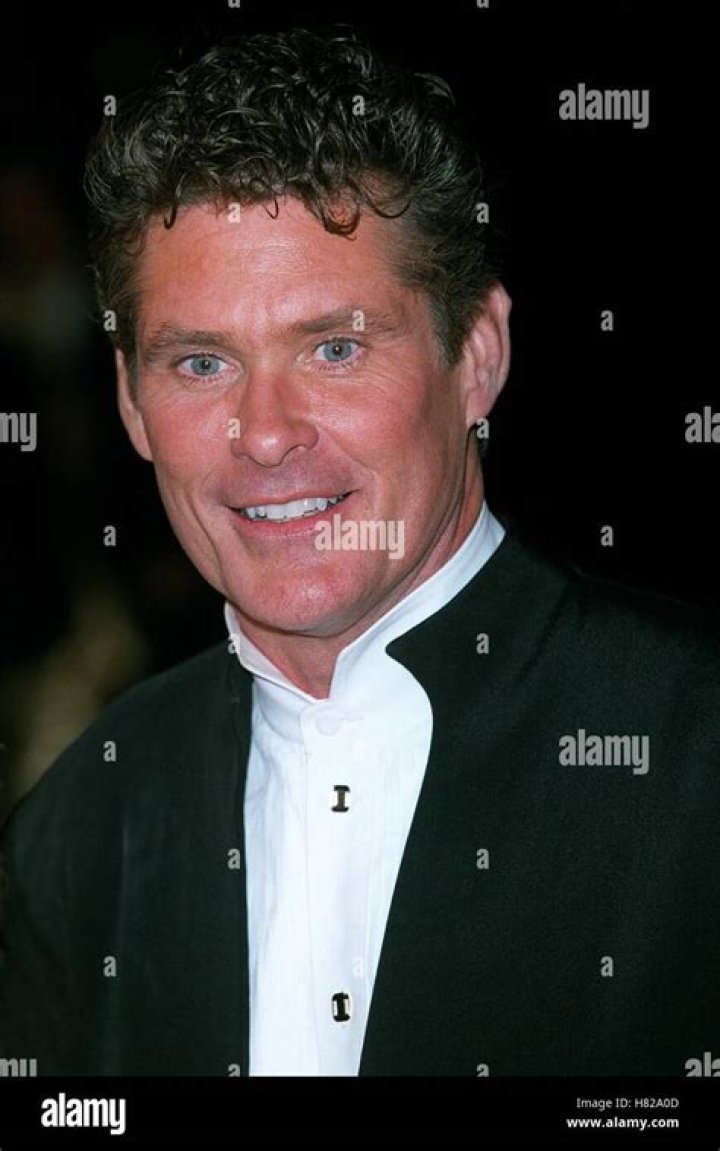 David Hasselhoff In 2000