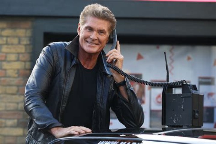 David Hasselhoff In 2015