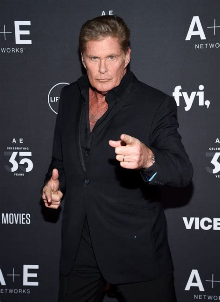 David Hasselhoff In 2019