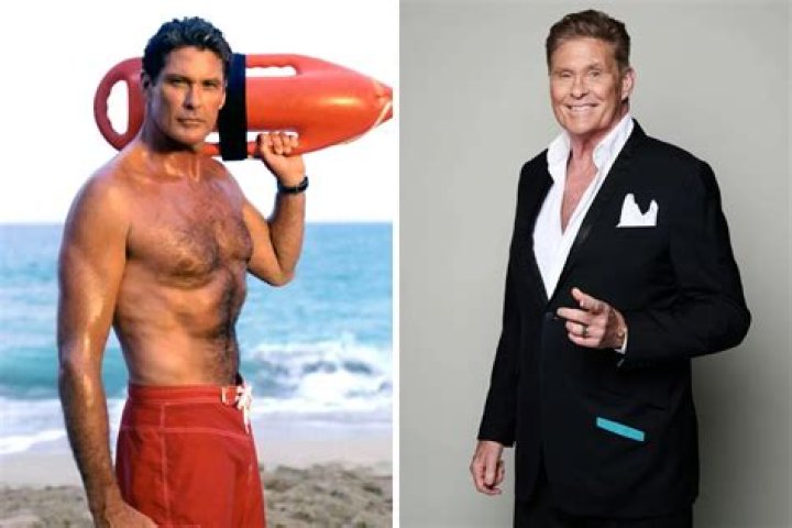 David Hasselhoff: Then & Now