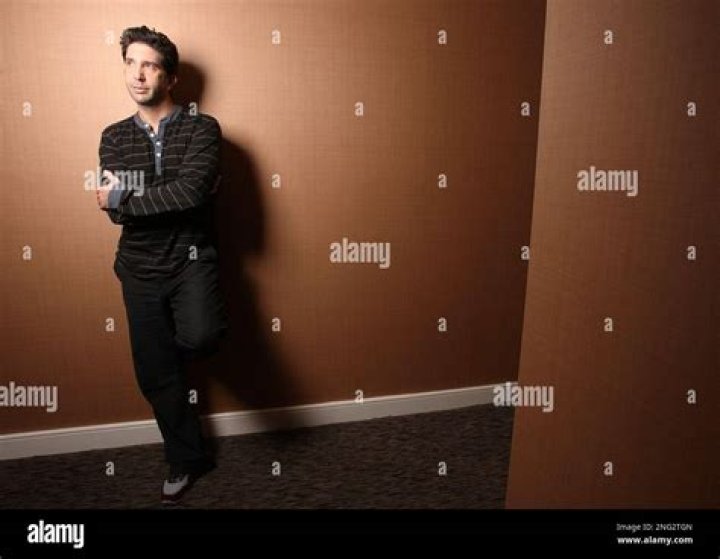 David Schwimmer Poses for a Photo