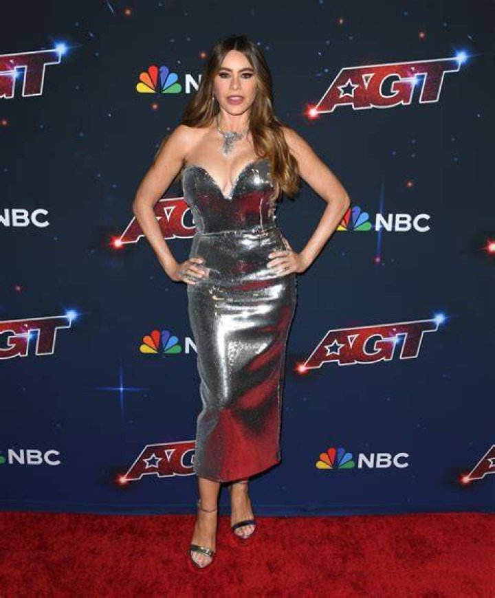 Deep Plunging Silver Gown – Hollywood Life