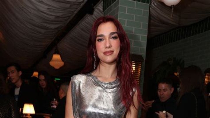 Dua Lipa Slays Metallic Pink Mini Dress In Poolside Photos – Hollywood Life