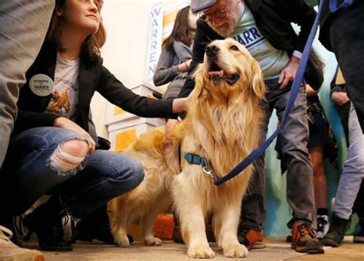 Elizabeth Warren and dog Bailey