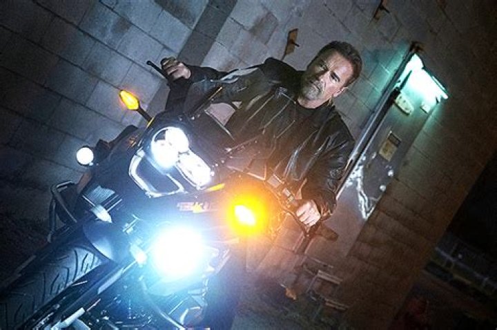 Everything To Know About Arnold Schwarzenegger’s Netflix Show – Hollywood Life