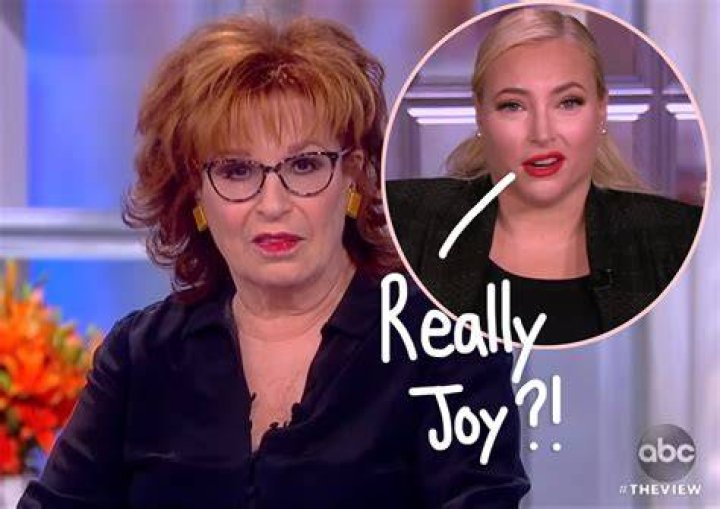 Fans Think Joy Behar Shaded Meghan McCain: ‘The Panel Is Perfect Now’