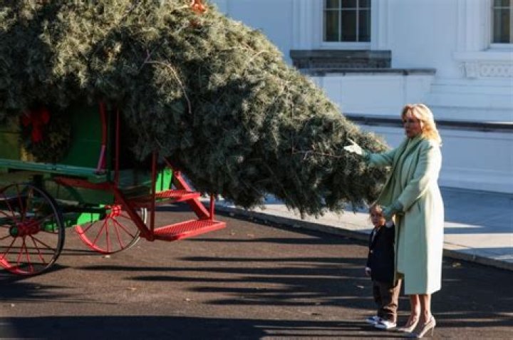 First lady Jill Biden receives the official 2021 White House Christmas tree at the White House, in Washington. This year's tree is an 18.5-foot Fraser fir presented by Rusty and Beau Estes of Peak Farms in Jefferson, N.C Jill Biden, Washington, United States - 22 Nov 2021