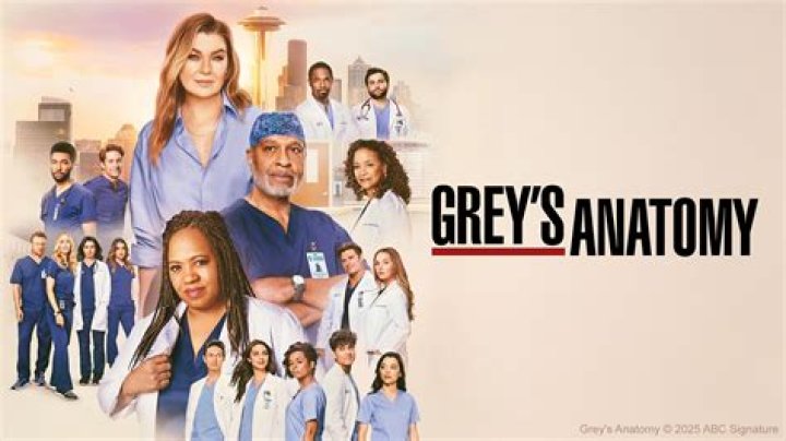 ‘Grey’s Anatomy’ Anniversary – Hollywood Life