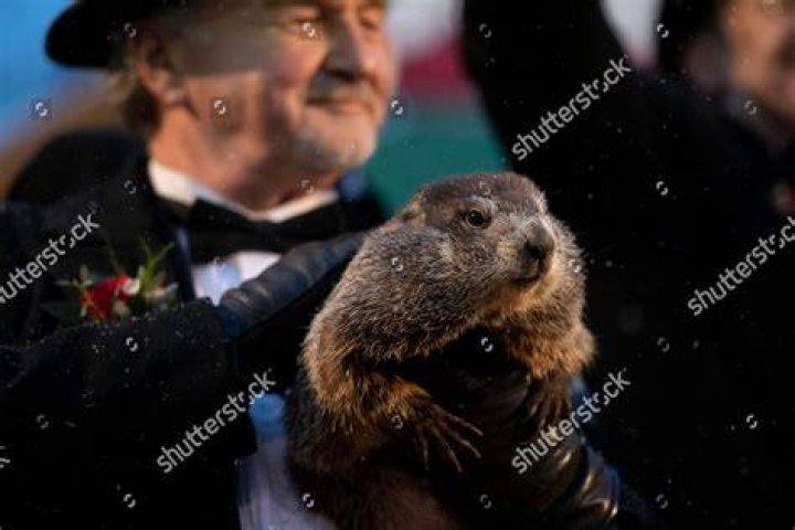 Groundhog Club co-handler John Griffiths (L) holds Phil the weather prognosticating groundhog as co-handler A.J. Dereume (C) and groundhog club member Patrick Osikowicz (R) look on during the Groundhog Day celebration at Gobblers Knob in Punxsutawney, Pennsylvania, USA, 02 February 2018. Phil saw his shadow and predicted six more weeks of winter. Punxsutawney Phil predicts the Weather on Groundhog Day, USA - 02 Feb 2018