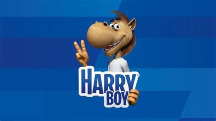 Harry As A Boy Band Member