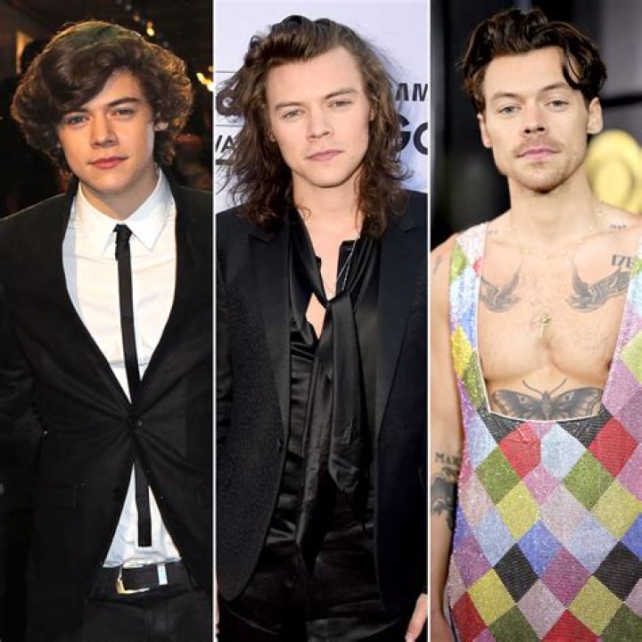 Harry Styles Hair Evolution