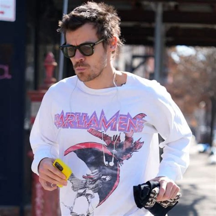 Harry Styles Keeps It Casual