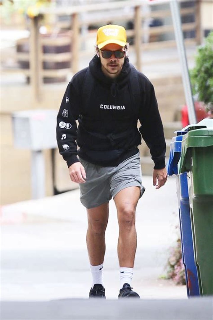 Harry Styles Rocks Short Shorts During Hike In Los Angeles – Pics – Hollywood Life