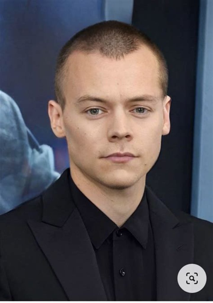 Harry Styles Short Hair