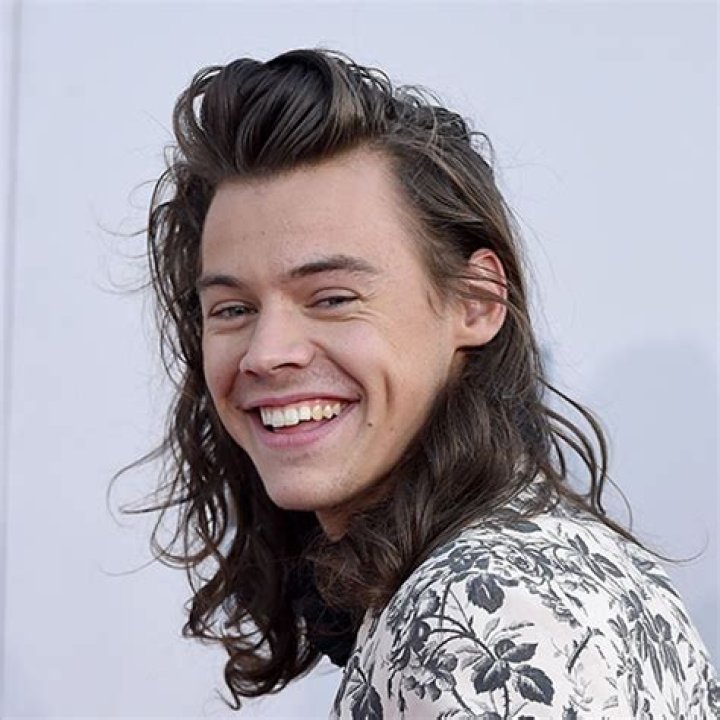 Harry Styles’ Unreleased ‘X-Factor’ Audition Footage Shows Other Song – Hollywood Life